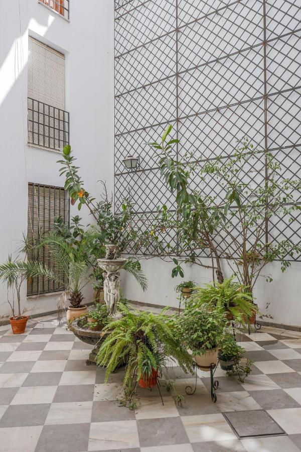 Fantastico Duplex 2 Terrazas 3 Habitaciones 2 Banos Seville Ngoại thất bức ảnh